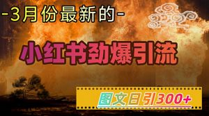 小红书超劲爆引流手段,图文日引300+轻松变现1W-木石资源网