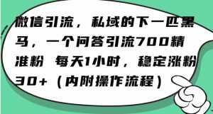 怎么搞精准创业粉?微信新赛道,每天一小时,利用Ai一个问答日引100精准粉-木石资源网
