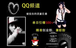 QQ频道:被低估的流量巨兽,单日引爆500+精准创业粉、兼职粉的引流秘籍-木石资源网