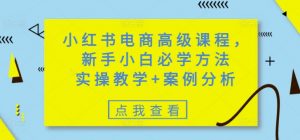 小红书电商高级课程,新手小白必学方法,实操教学+案例分析-木石资源网