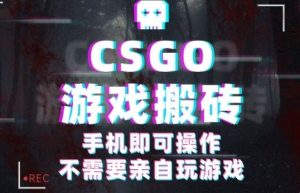 CSGO游戏挂G捡漏,单日扫货5张+,年底小高峰上车可吃肉,手机即可操作,兼职副业创业网创【揭秘】-木石资源网