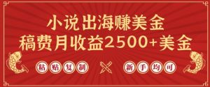 小说出海赚美金，稿费月收益2500+美金，仅需chatgpt粘贴复制，新手也能玩转【揭秘】-木石资源网
