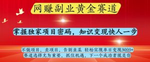 网创副业黄全赛道,掌握独家项目密码,知识变现快人一步,告别韭菜轻松实现单日变现1k+【揭秘】-木石资源网