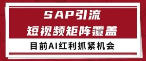 小红书某音sap赛道引流获客 自热矩阵日引200+【揭秘】-木石资源网