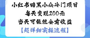 小红书暗黑小众冷门项目每天变现2张当天可能就会有收益-木石资源网