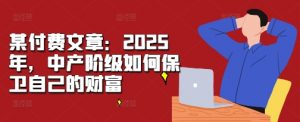 某付费文章:2025年,中产阶级如何保卫自己的财富-木石资源网