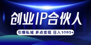 云帆·创业ip合伙人打造3.0,从0到1教你做网创,实现月入过W-木石资源网