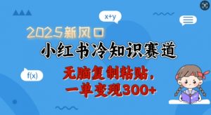 2025新风口,小红书冷知识赛道,无脑复制粘贴,一单变现300+-木石资源网