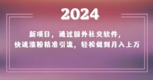 2024新项目，通过国外社交软件，快速涨粉精准引流，轻松做到月入上万【揭秘】-木石资源网