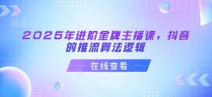 2025年进阶金牌主播课,抖音的推流算法逻辑-木石资源网