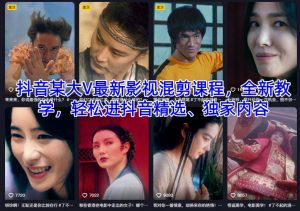 抖音某大V最新影视混剪课程,全新教学,轻松进抖音精选、独家内容-木石资源网