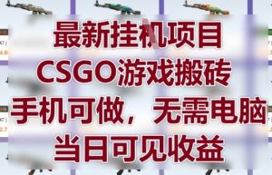最新挂G项目,CSGO游戏搬砖,手机可做,无需电脑,当日见收益【揭秘】-木石资源网