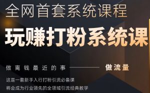 2025行业首套全网全域打粉系统神课,做流量做离钱最近的事,一套新手入行打粉引流必备课-木石资源网