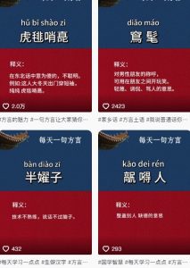 抖音最新涨粉玩法，图文方言暴力涨粉实操，126作品涨粉11W-木石资源网