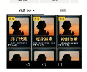 超高变现的短视频减肥细分赛道,减肥账号抖音实战训练营-木石资源网