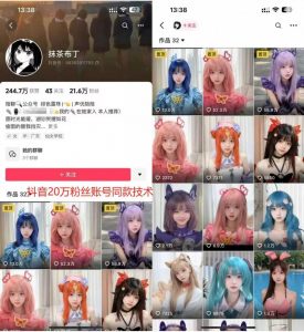 云天二次元美女起号教学，月涨10万粉丝，不判搬运-木石资源网