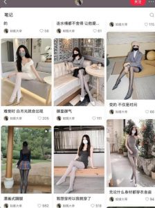 AI打造网红账号,一周收入超5位数,还能矩阵操做-木石资源网