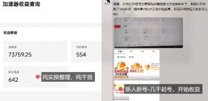 游戏加速器项目4.0_最新打法思路(爱玩游戏也能边玩边被动收益)-木石资源网