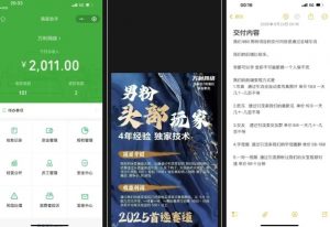 外面收费980全新男粉变现项目,竞争小,利润高,多种方式变现,独家技术-木石资源网