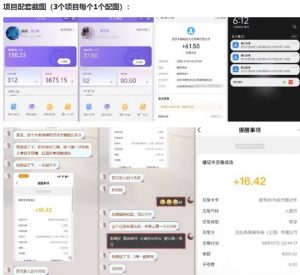 当天能收益的3个小项目拆解_包括平台+操作流程-木石资源网