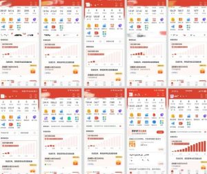 拼多多虚拟电商,门槛低,搬运上架,操作起来简单粗暴,单人单店三位数,可矩阵-木石资源网