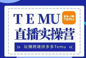 Temu直播实战营,玩赚跨境拼多多Temu,国内电商卷就出海赚美金-木石资源网