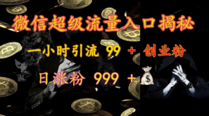 微信超级流量入口揭秘:一小时引流 99 + 创业粉,日涨粉 999 +-木石资源网