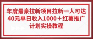年度最豪拉新项目拉新一人可达40元单日收入1000+红薯推广计划实操教程【揭秘】-木石资源网