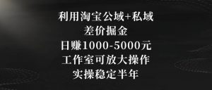 利用淘宝公域+私域差价掘金，日赚1000-5000元，工作室可放大操作，实操稳定半年【揭秘】-木石资源网